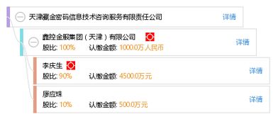 天津藏金密碼信息技術(shù)咨詢服務有限責任公司 專業(yè)信息技術(shù)咨詢服務的引領(lǐng)者